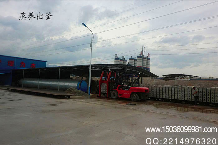 廣州灰砂蒸養磚設備